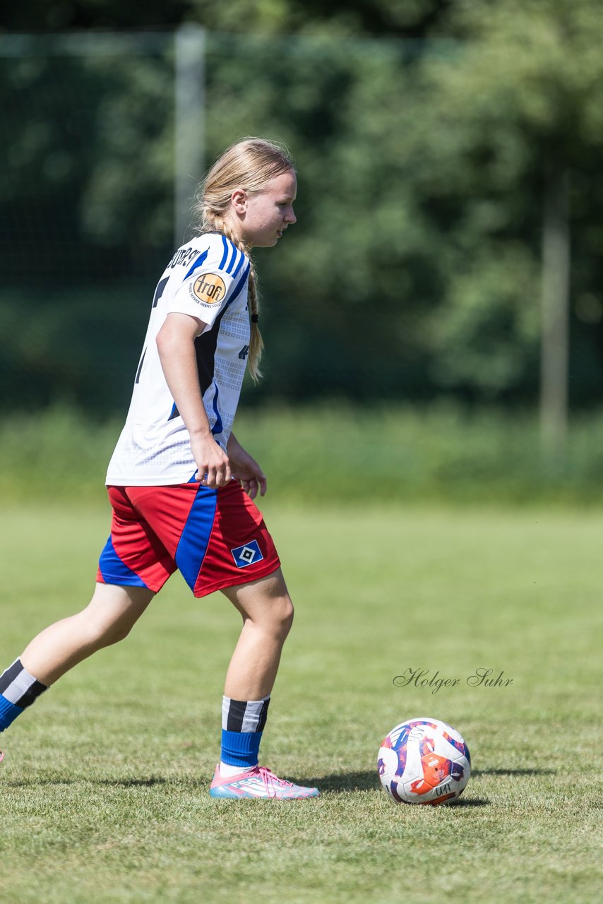 Bild 312 - wBJ Hamburger SV - VfL Wolfsburg : Ergebnis: 5:1
